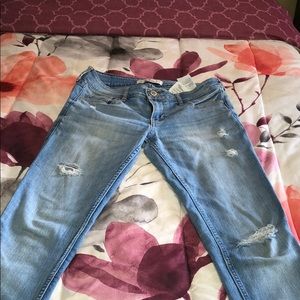 Hollister jeans